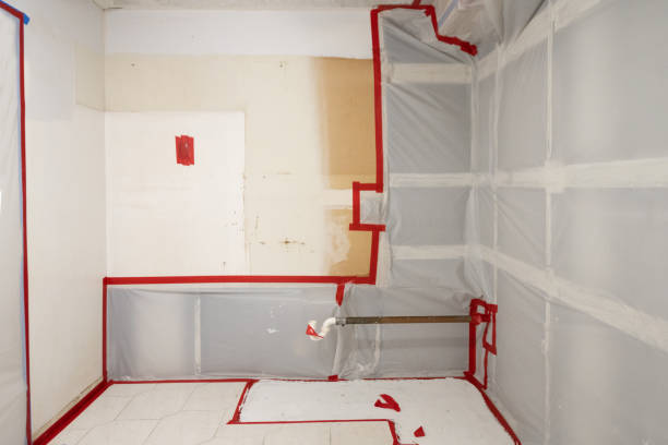 Best Forensic Mold Investigation  in Altus, OK