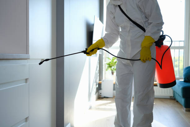 Best Commercial Mold Inspection  in Altus, OK